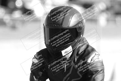 media/Feb-23-2025-2WTD (Sun) [[9604a77d5d]]/1-Around the Pits/